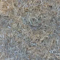 کاه علف زعفران