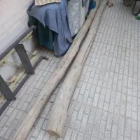 کمکی درخت و مو