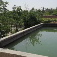 باغ زیبا 1800 متر سند ششدانگ شاندیز مشهد