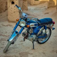 100دولوکس