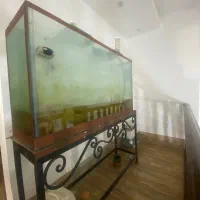 واگذاری آکواریوم