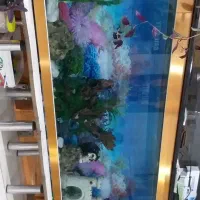 اکواریوم