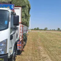 بونجه پرس خشک درجه یک و آسیاب شده کاه پرس و فله