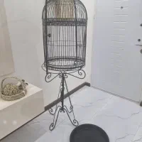 قفس پرنده