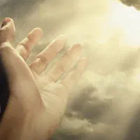 دع ا|خدمات پذیرایی، مراسم|بندر ترکمن, |دیوار