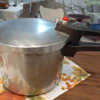 دیگ زودپز پارس استیل