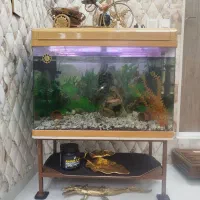 اکواریوم