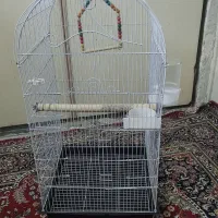 قفس پرنده