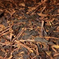 چای اصل لاهیجان ارسال رایگان
