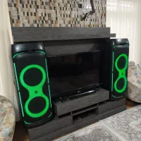 اسپیکر دوقلو ایستاده