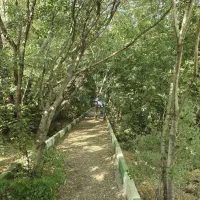 تور گردشگری بانوان وخانواده گشتور