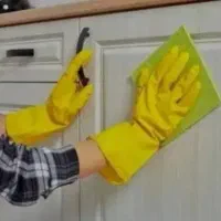 نظافتچی حرفه ای
