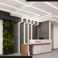 لاین نوری/لاینر روکار/توکار پارس شعاع با گارانتی