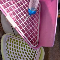 ظرف ابخوری و دستشویی و هاید باکس خرگوش