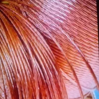 خرید ضایعات مس برنج سیم روکش دار کابل وغیره