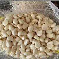 نیرو جهت کار در پوستکنی