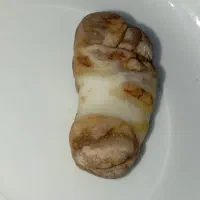 سنگ فسیل و استخوان
