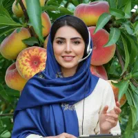 نهال هلو، شلیل و گیلاس پربار مناسب کرج و ساوجبلاغ