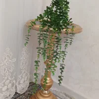 وسائل تزئینی