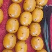 تسبیح سندلوس زرد بو دار..