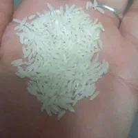 برنج هاشمی درجه یک