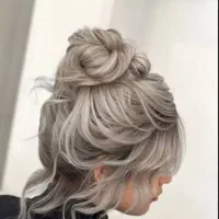 نیازمند مدل شنیون