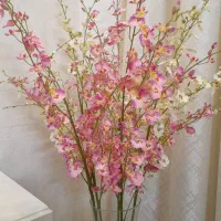 شکوفه ارکیده خارجی
