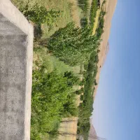 فروش-باغ-مثمر4ساله-درروستای-گردشگری-دستجرده-سفلی