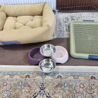 موکت قهوه ای روشن زیر فرشی در حد - لوازم پت در حد