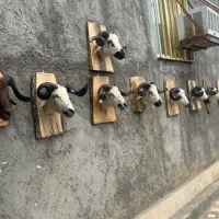 مجسمه‌