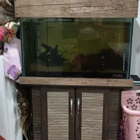 اکواریوم