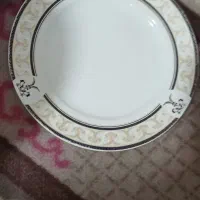 ۱۲ عدد پلو خوری چینی  خیلی تمیز
