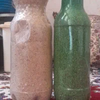 بذر سفیدج