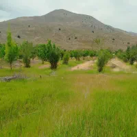 زمین فروشی سربیژن