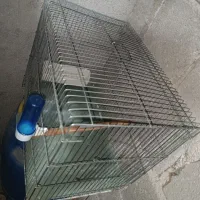 قفس بزرگ و لانه