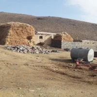 زمین-پشت-بیمارستان-شهدا-بهر-خیابان-16متری