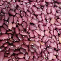 پخش انواع حبوبات درجه یک به شرط