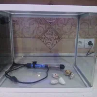 آکواریوم