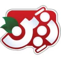 استخدام ویزیتور