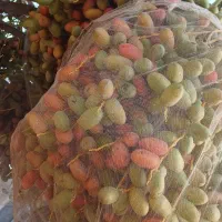 خارک محبوبی