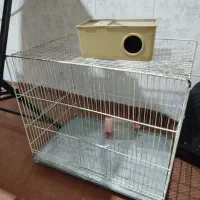 قفس پرنده