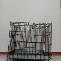 قفس پرنده