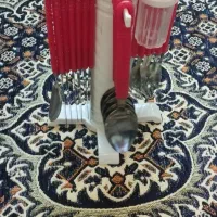 سرویس قاشق چنگال چاقو