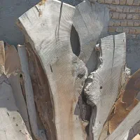 چوب گردو