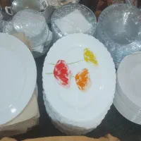 فروش ظروف پذیرایی و سبزی خردکن صنعتی