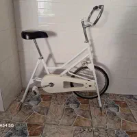 دوچرخه ثابت