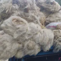 مناسب.  لحاف تشک پشم. گوسفندی.