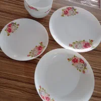آرکوپال پلو خوری خورشت خوری ارزان  گلداپال فرانسه