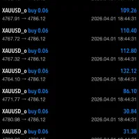 تریدر فارکس هستم (توضیحات )(مدیریت حساب )