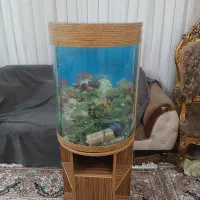 اکواریوم شیشه خم